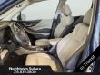 2024 Subaru Forester Limited SUV