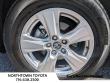 2025 Toyota RAV4 XLE SUV