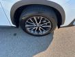 2026 LEXUS NX 350h Premium SUV
