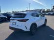 2026 LEXUS NX 350h Premium SUV