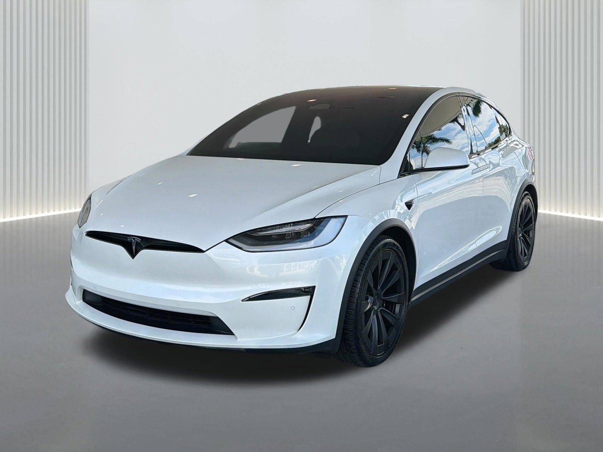 2023 Tesla Model X
