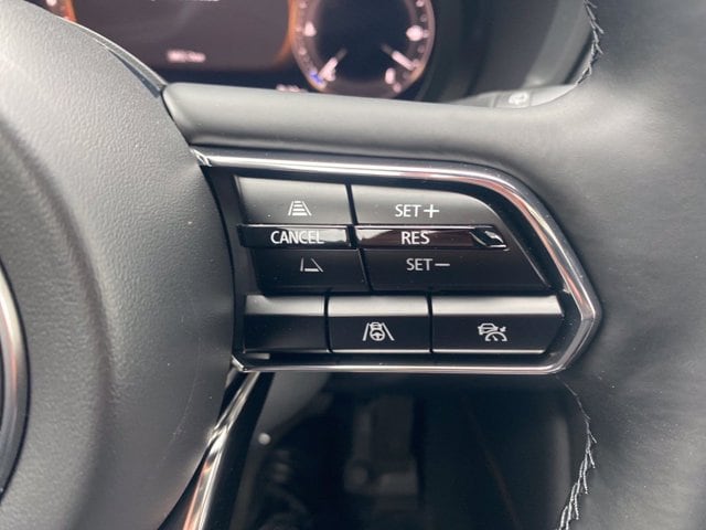 2026 Mazda CX-90 Premium Plus Package - Photo 21