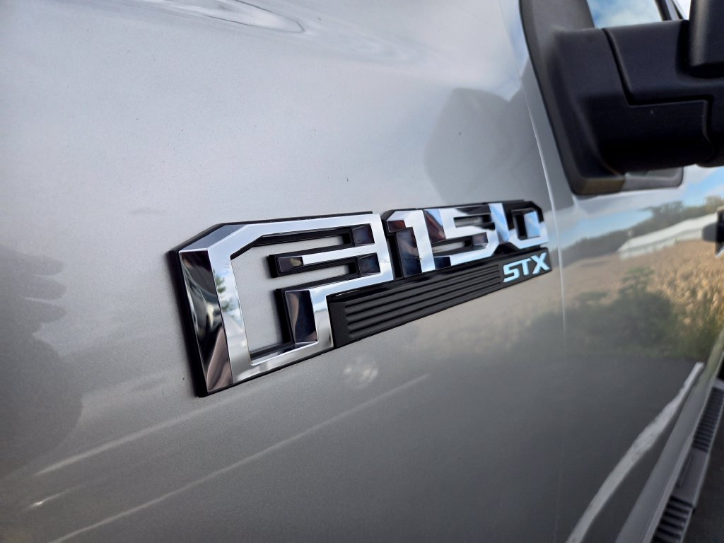 Used 2019 Ford F-150 XL Truck