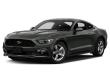 Used 2015 Ford Mustang  Coupe