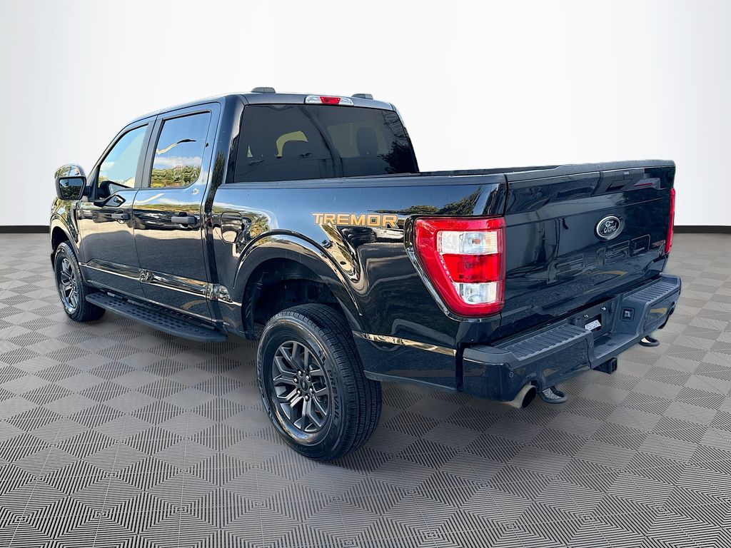 2021 Ford F-150 Tremor - Photo 6