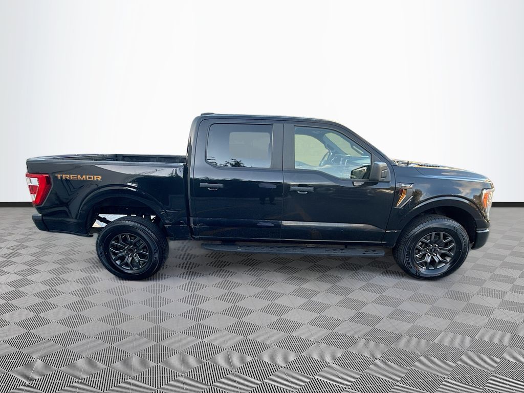 2021 Ford F-150 Tremor - Photo 9