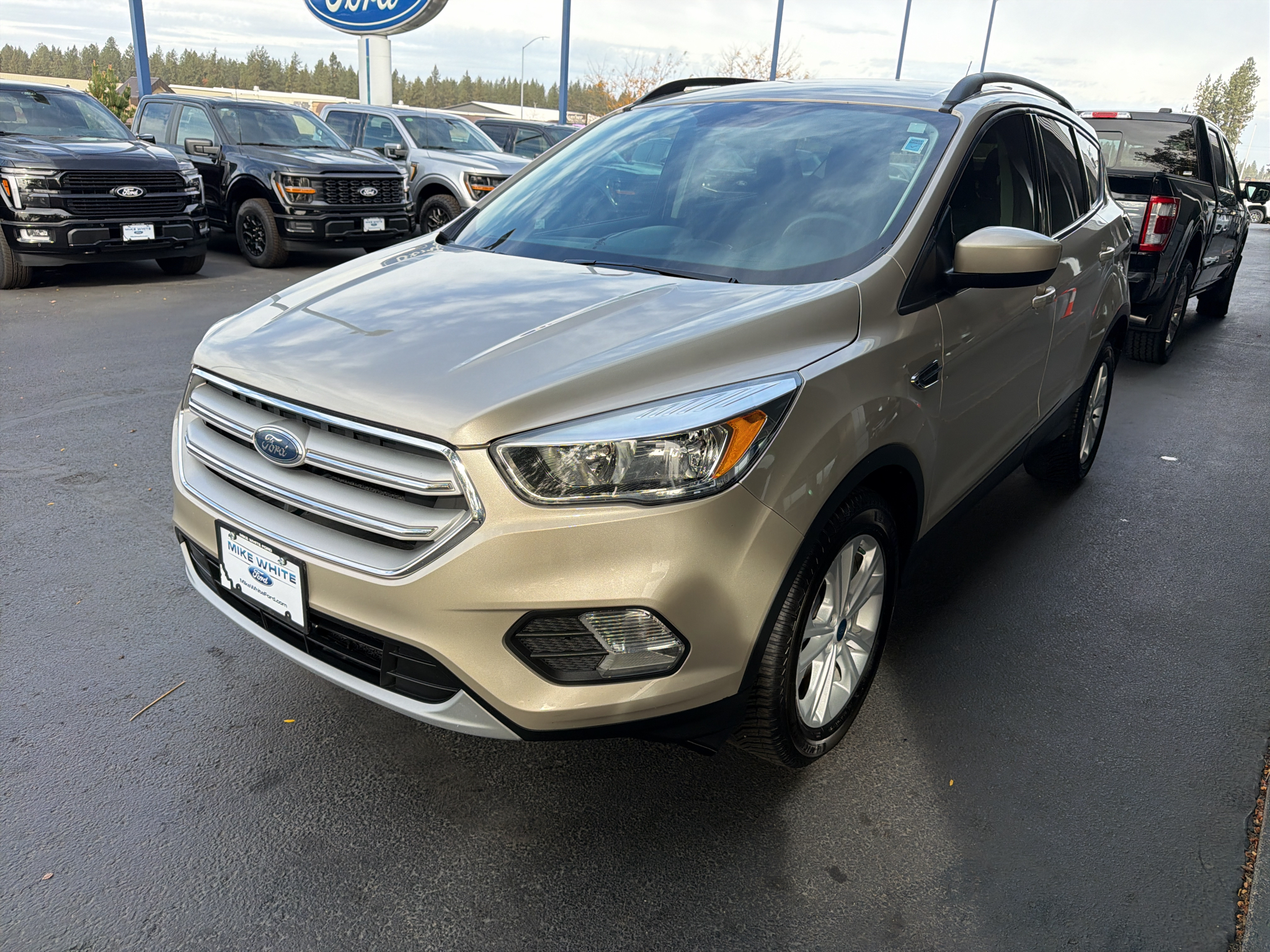 Used 2018 Ford Escape SE SUV