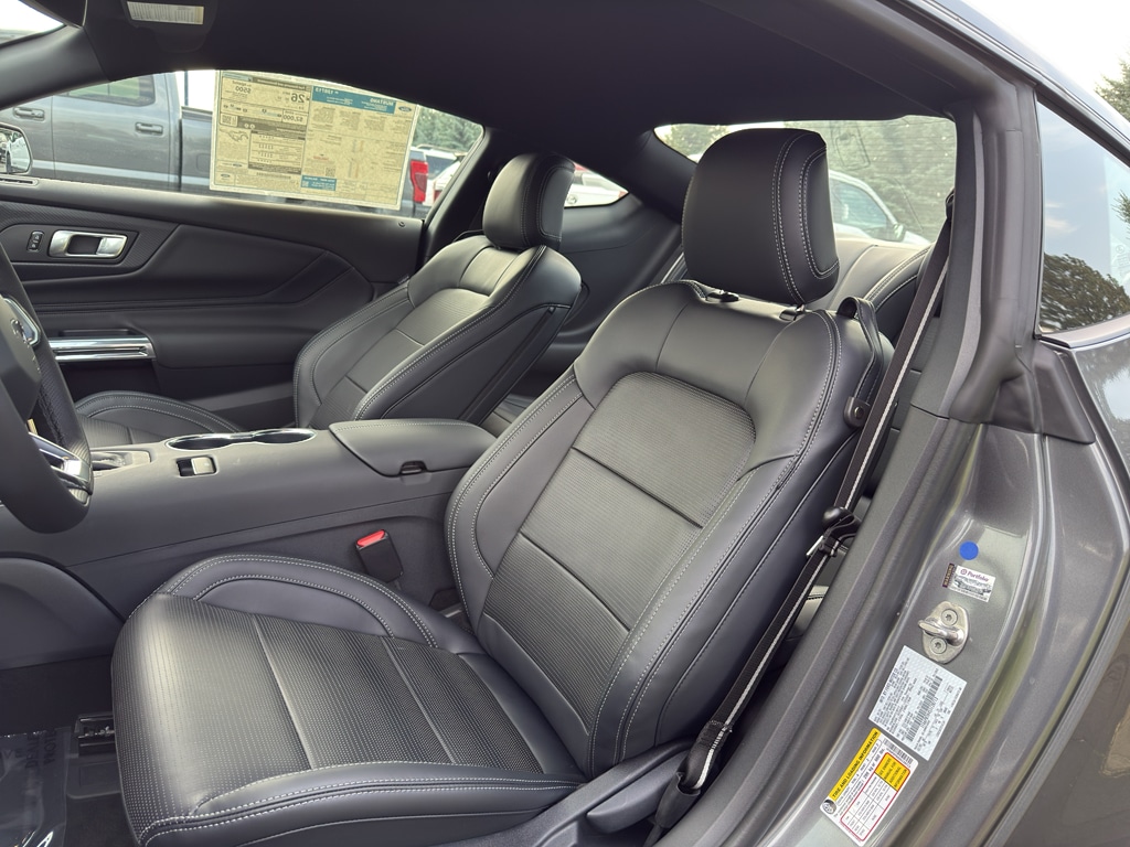 2025 Ford Mustang EcoBoost Premium Fastback - Photo 15