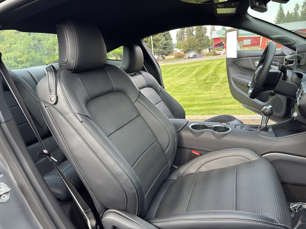 2025 Ford Mustang EcoBoost Premium Fastback - Photo 34
