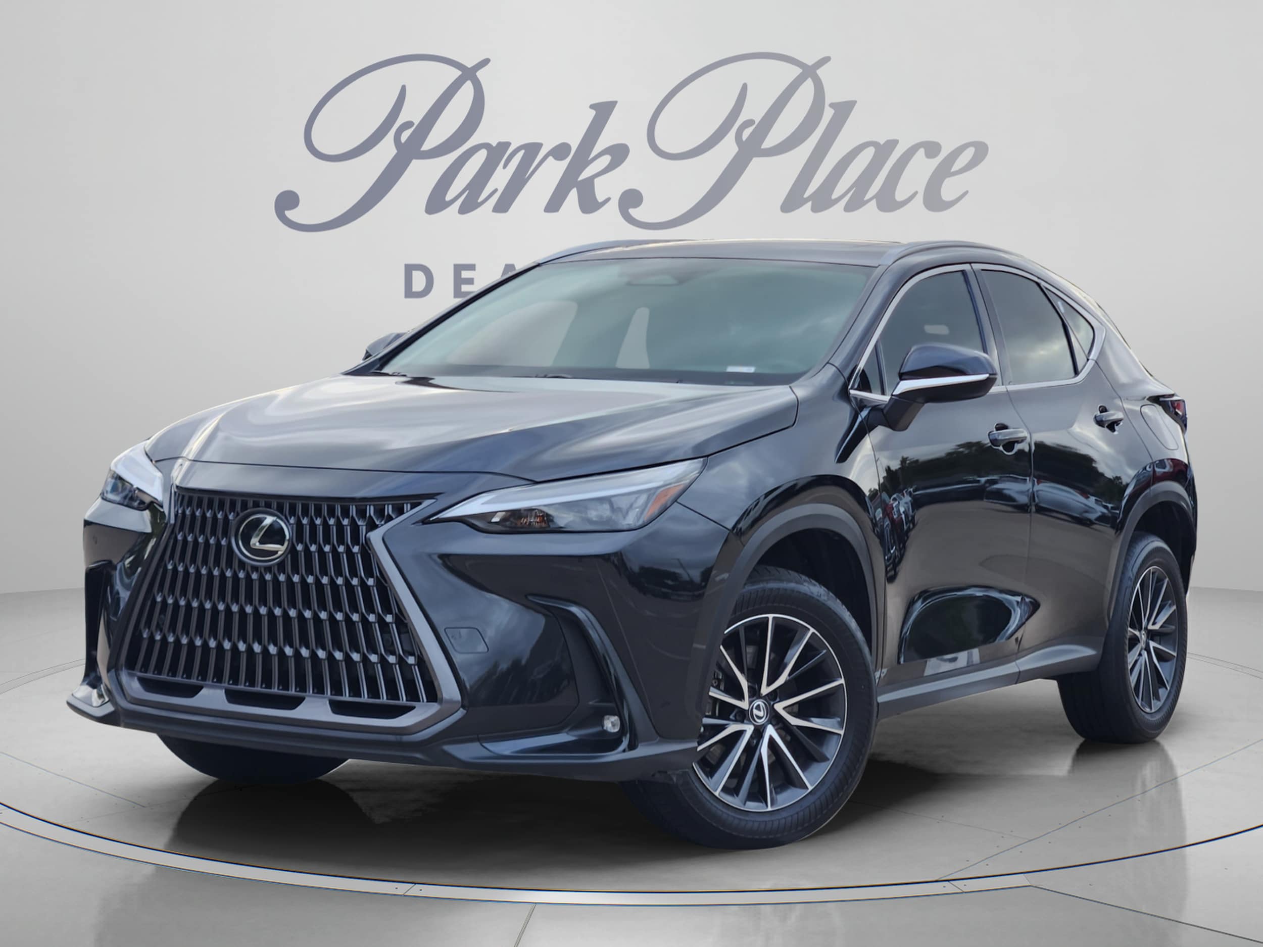 2024 Lexus NX