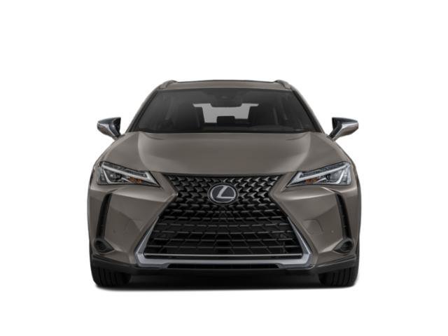 Used 2022 Lexus UX UX 200 SUV