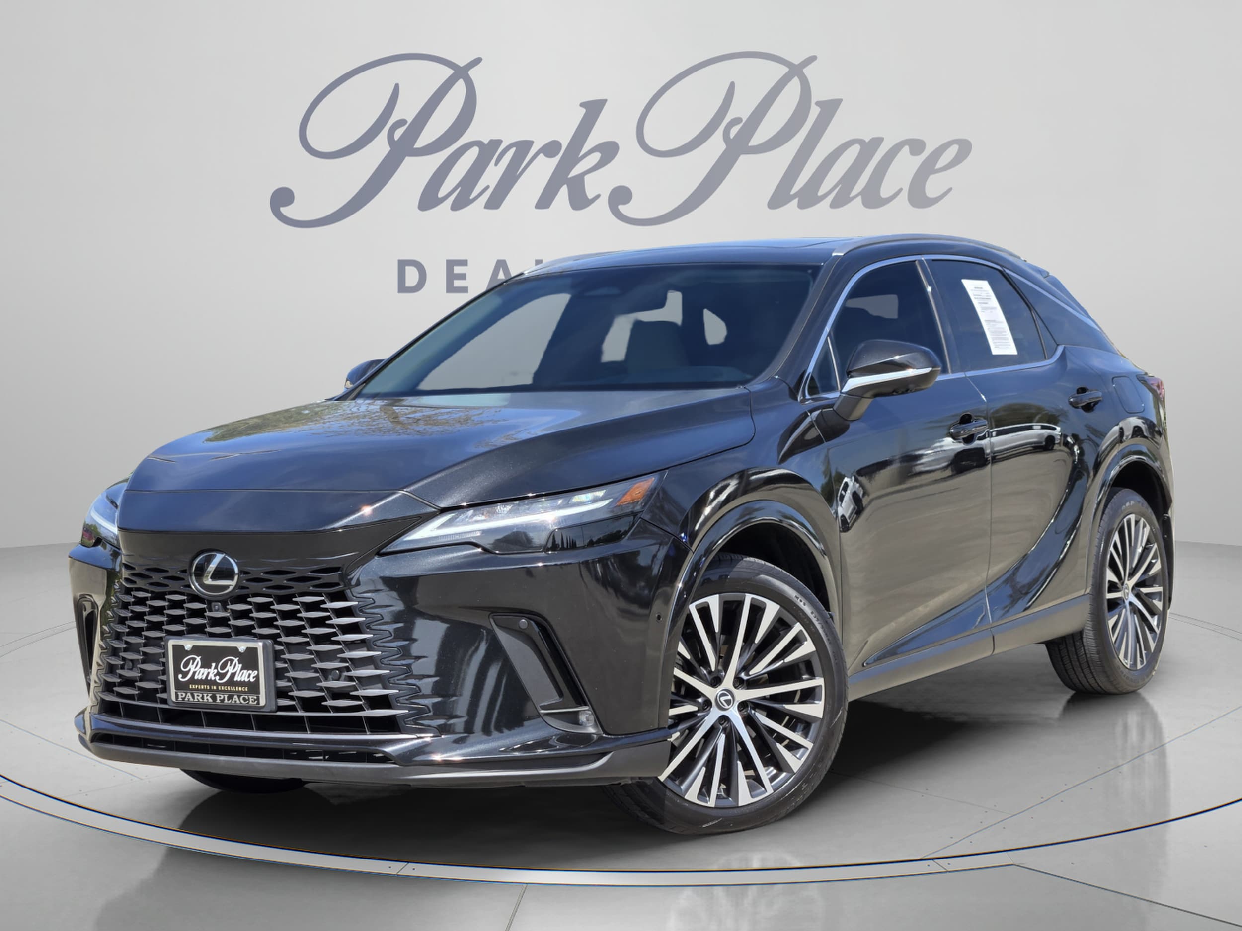 2024 Lexus RX