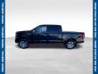 Used 2015 Ford F-150 Platinum Truck