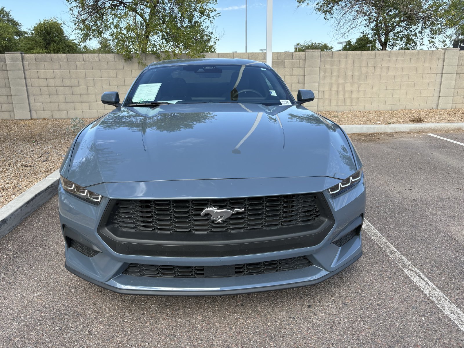 Certified 2024 Ford Mustang Ecoboost Coupe