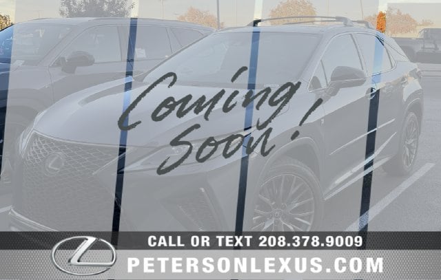 2020 Lexus RX