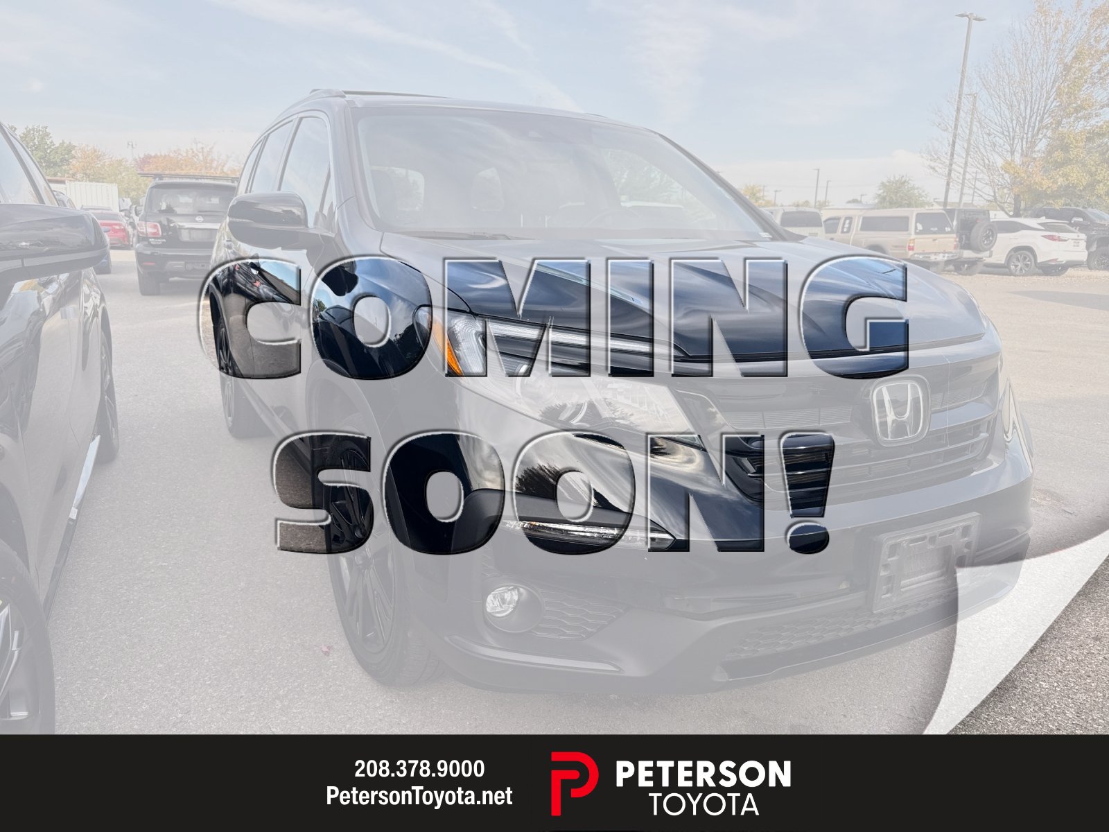 2022 Honda Pilot