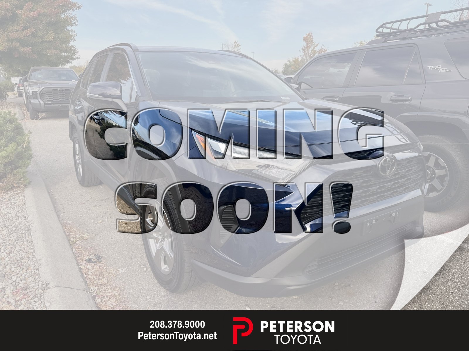 2024 Toyota RAV4