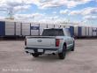 2026 Ford F-150 Tremor Truck