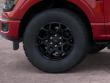 2026 Ford F-150 XLT Truck