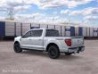 2026 Ford F-150 Tremor Truck