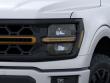 2026 Ford F-150 Tremor Truck