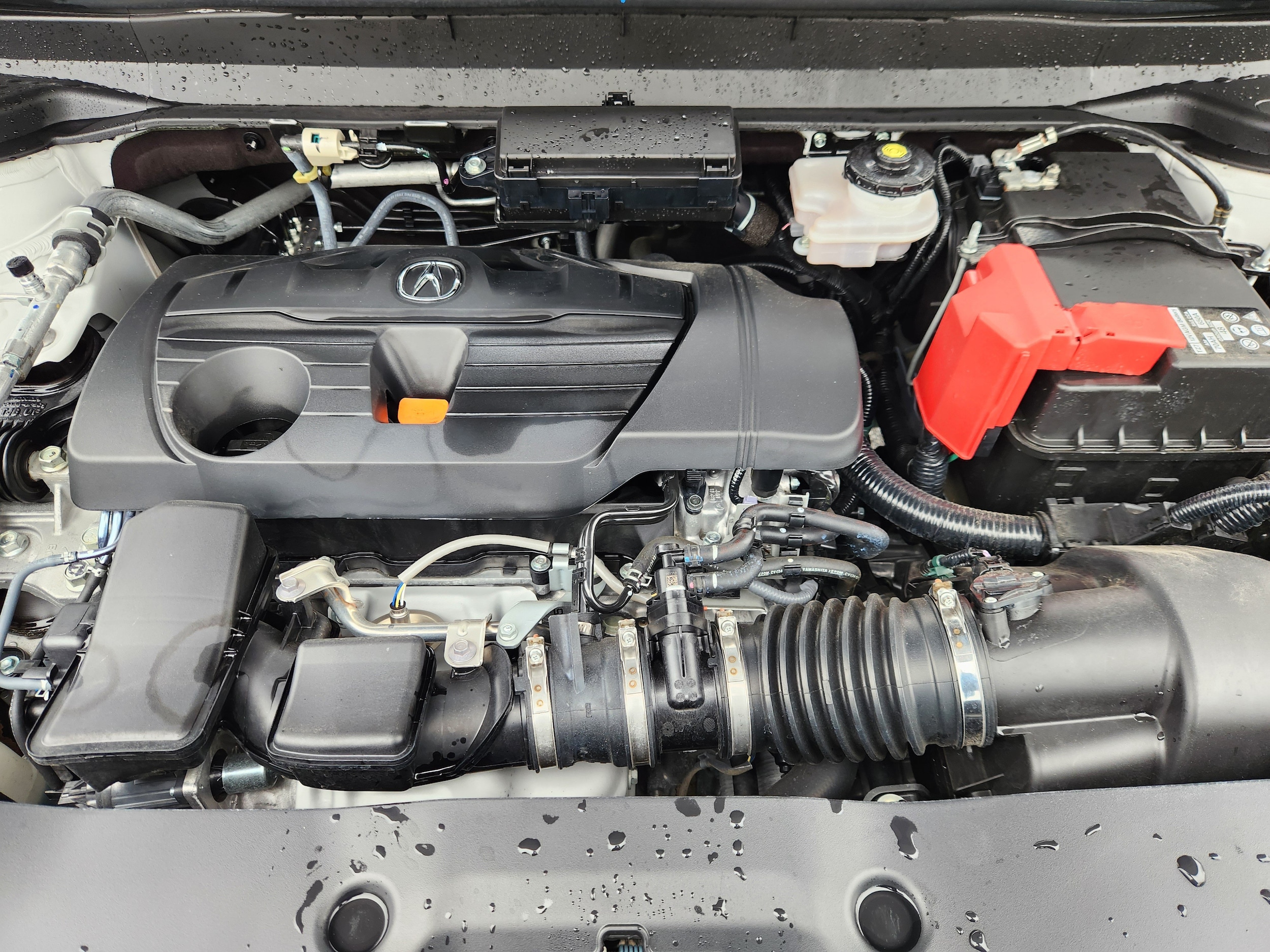2026 Acura RDX Technology Package - Photo 19