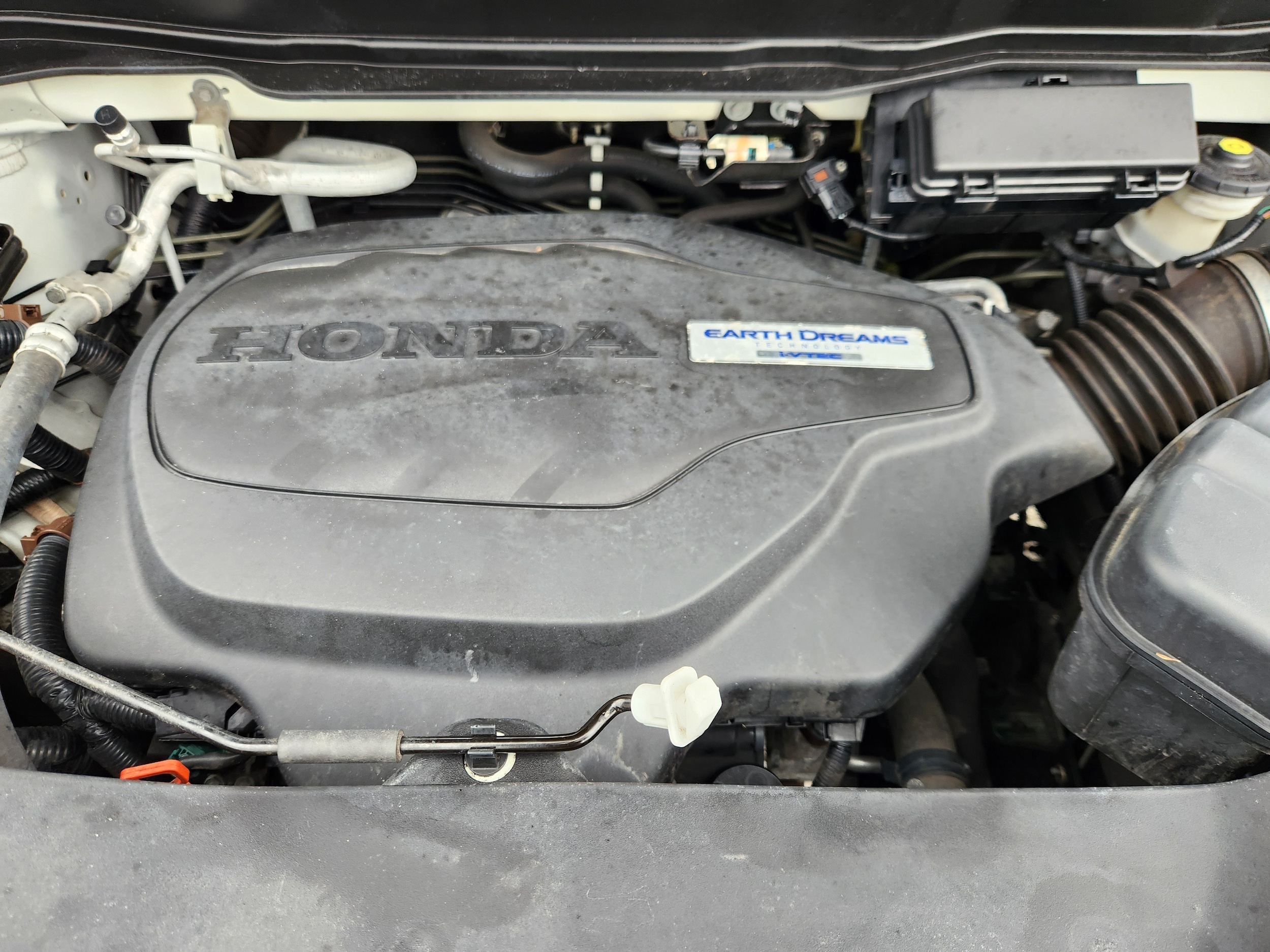 Photo 20