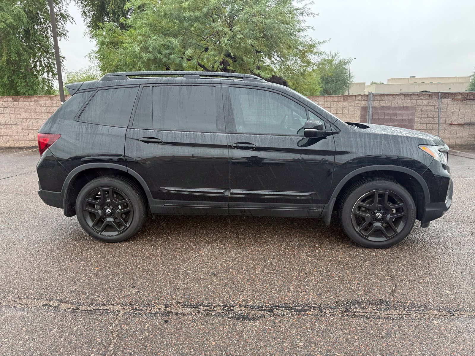 Used 2025 Honda Passport Black Edition SUV