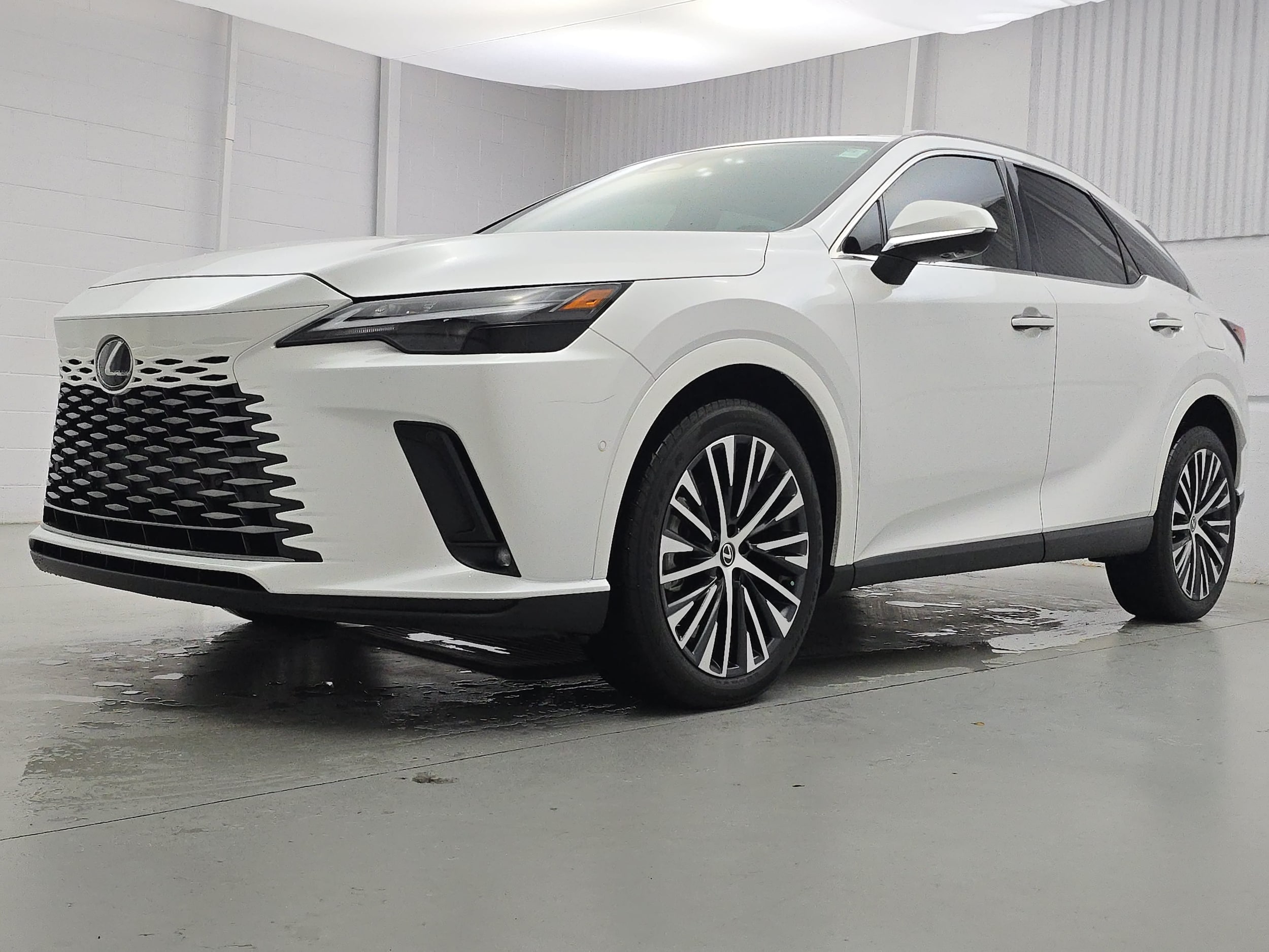 2024 Lexus RX