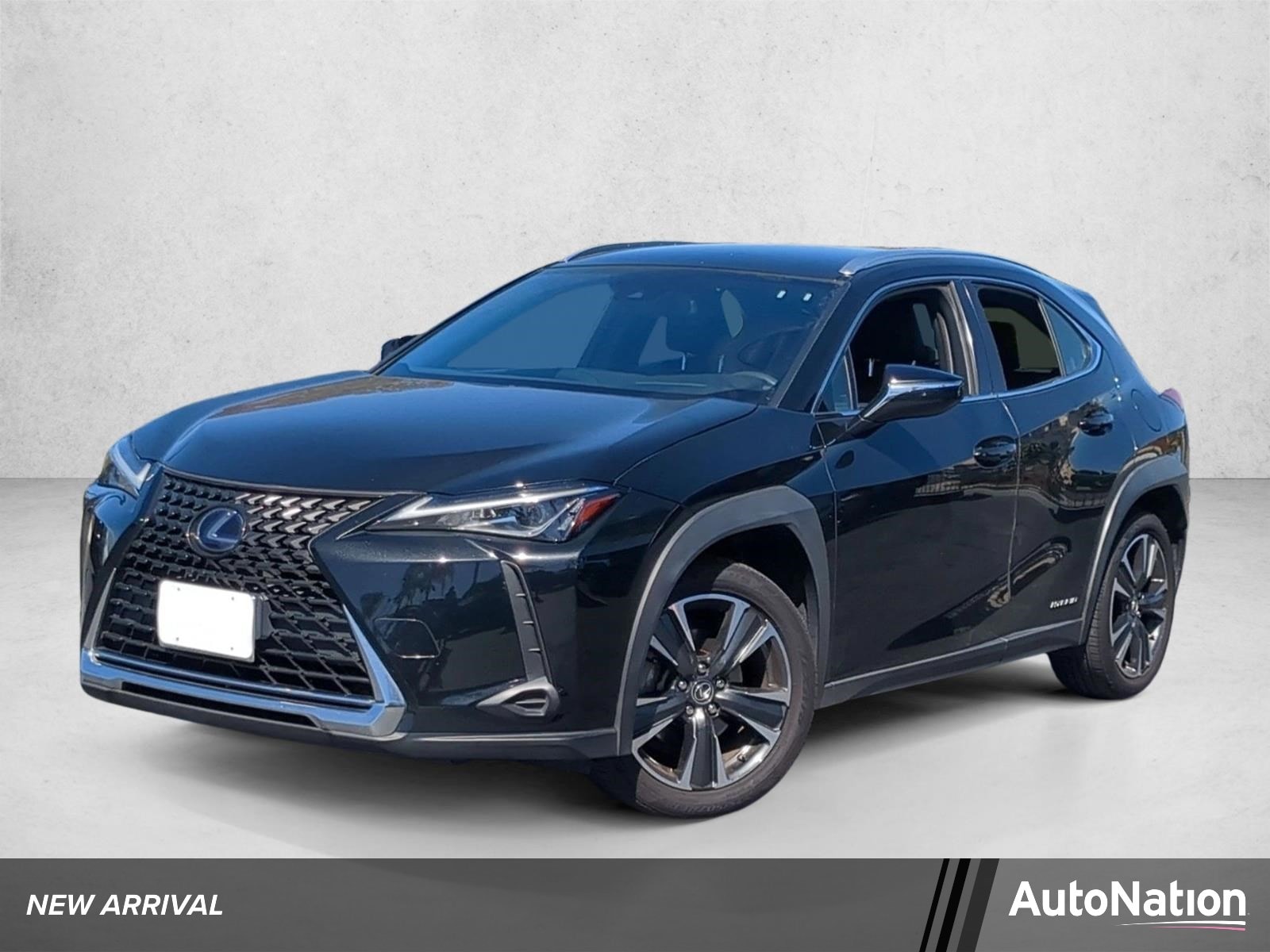 2020 Lexus UX Hybrid