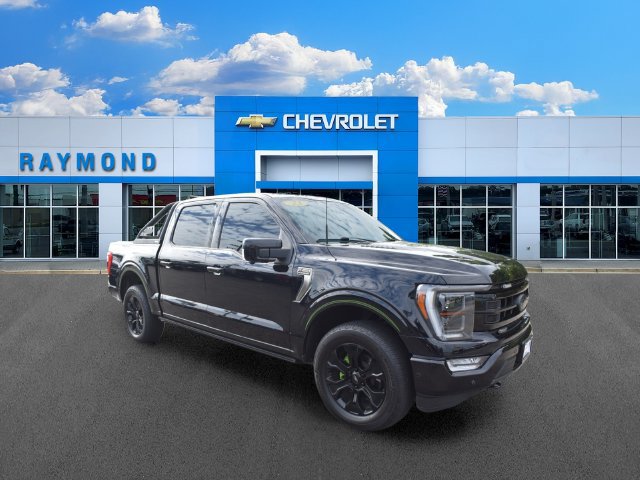 2023 Ford F-150 Platinum - Photo 11