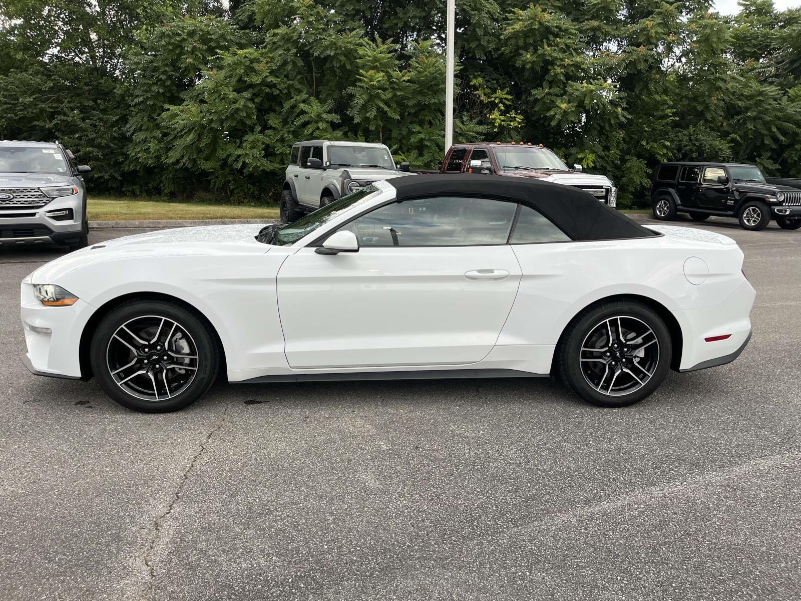 2023 Ford Mustang EcoBoost Premium - Photo 6