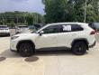 2020 Toyota RAV4 XLE SUV