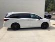 2025 Honda Odyssey Sport-L Van