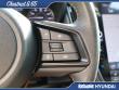 2023 Subaru Outback Wilderness SUV