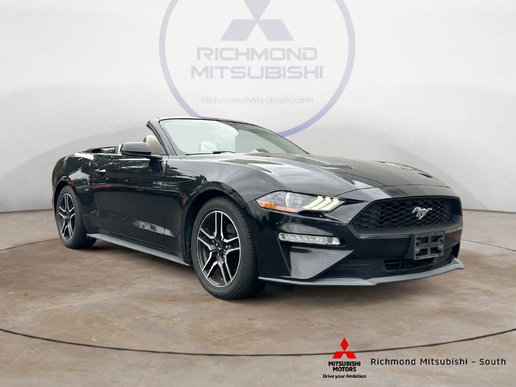 2019 Ford Mustang EcoBoost RWD photo