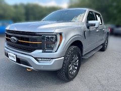 2022 Ford F-150 Tremor Truck