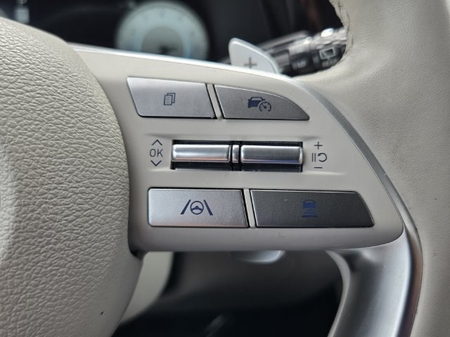 2024 Hyundai Palisade Limited - Photo 22