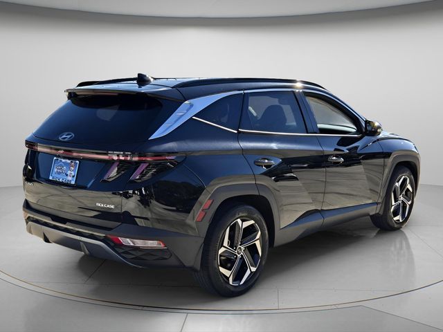 2024 Hyundai Tucson Limited - Photo 6