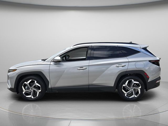 2024 Hyundai Tucson Limited - Photo 3