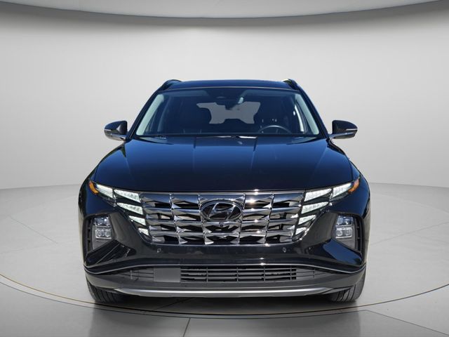 2024 Hyundai Tucson Limited - Photo 9