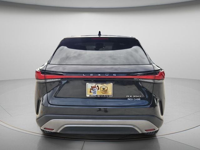 2024 Lexus RX 350 - Photo 6