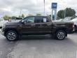 2019 Toyota Tundra 4WD 1794 Edition Pickup