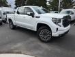 2025 GMC Sierra 1500 Denali Ultimate Pickup