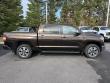 2019 Toyota Tundra 4WD 1794 Edition Pickup