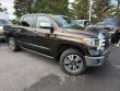 2019 Toyota Tundra 4WD 1794 Edition Pickup