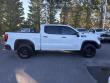 2024 GMC Sierra 1500 AT4X Pickup