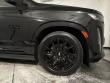 2023 CADILLAC Escalade 4WD Sport Platinum SUV