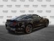 2019 Ford Mustang GT Premium Coupe