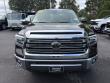 2019 Toyota Tundra 4WD 1794 Edition Pickup